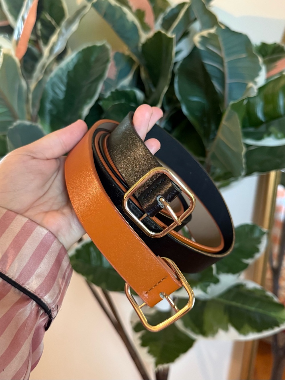 Shein black & brown belt bundle